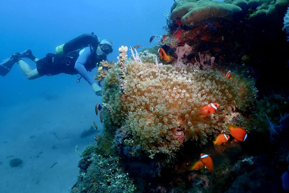 Underwater adventures await—join the dive!